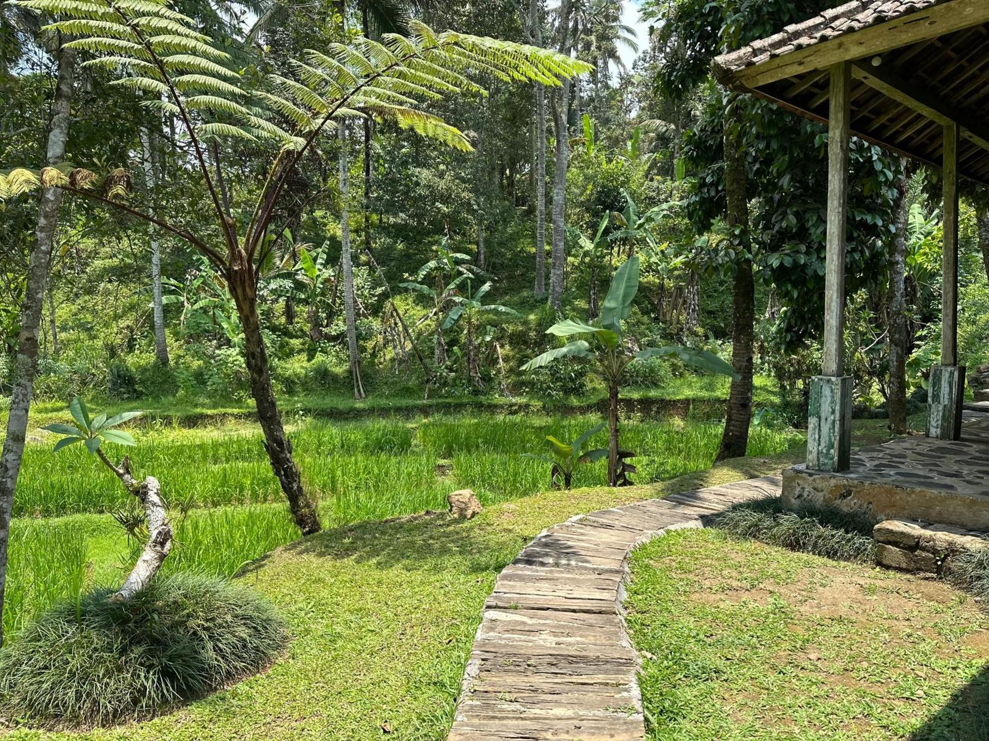 Oemah Tepi Sawah Villa Jatiluwih Exterior photo