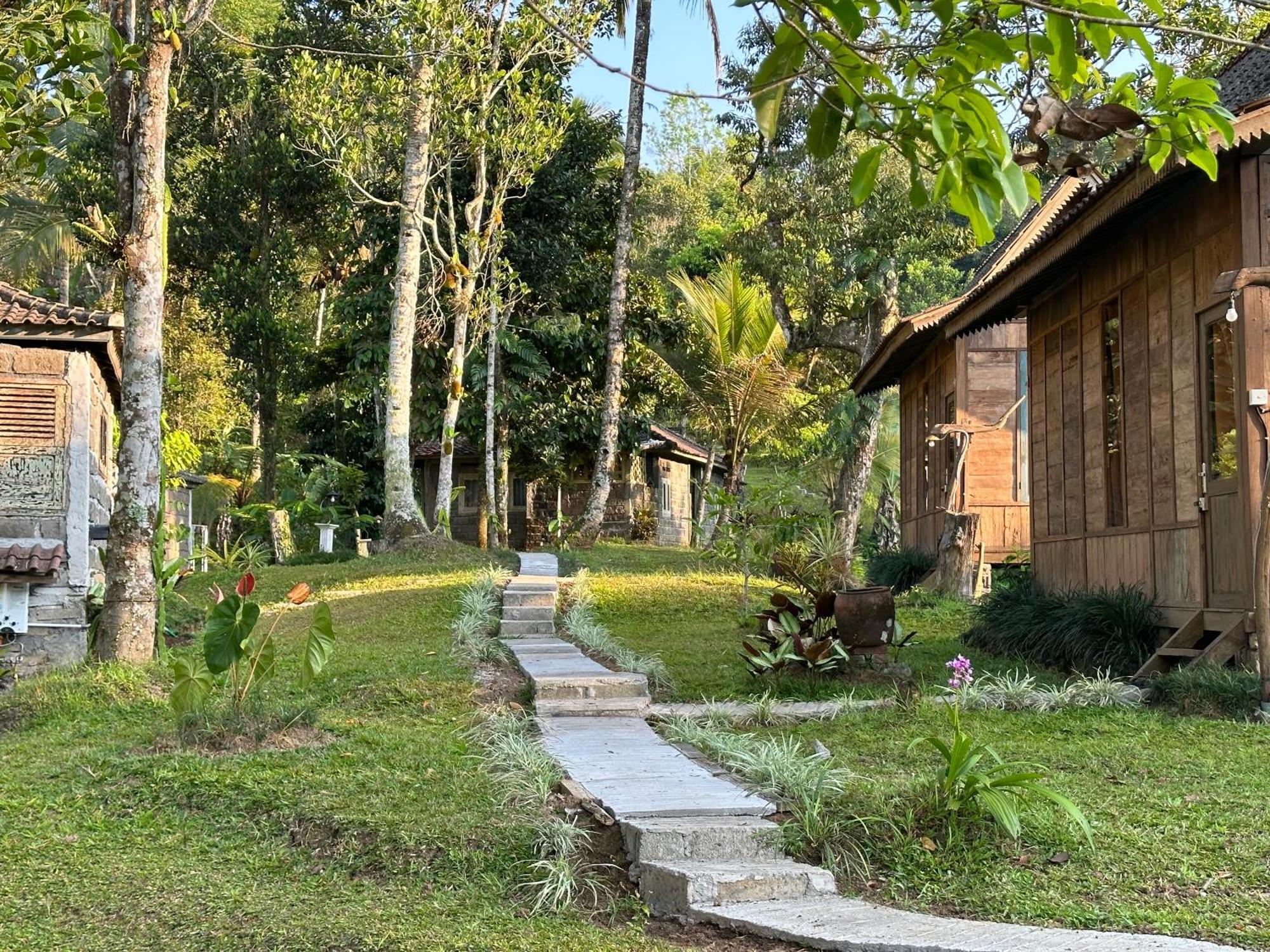 Oemah Tepi Sawah Villa Jatiluwih Exterior photo