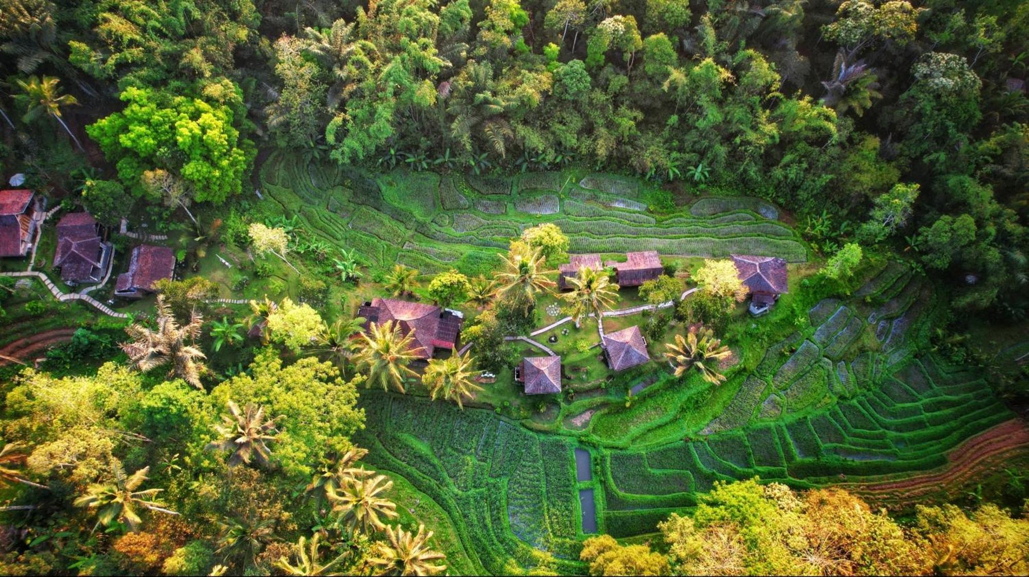 Oemah Tepi Sawah Villa Jatiluwih Exterior photo